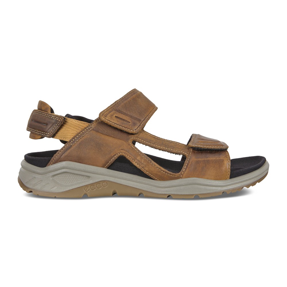 Sandalias Hombre - ECCO X-Trinsic Flat - Marrom - AGM452138